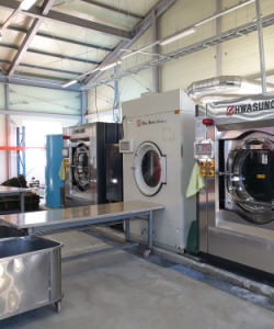 ��õ���޺δ�