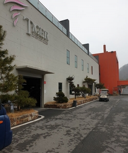 Ÿ�̰� ������